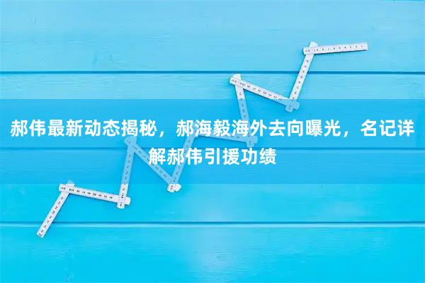 郝伟最新动态揭秘，郝海毅海外去向曝光，名记详解郝伟引援功绩